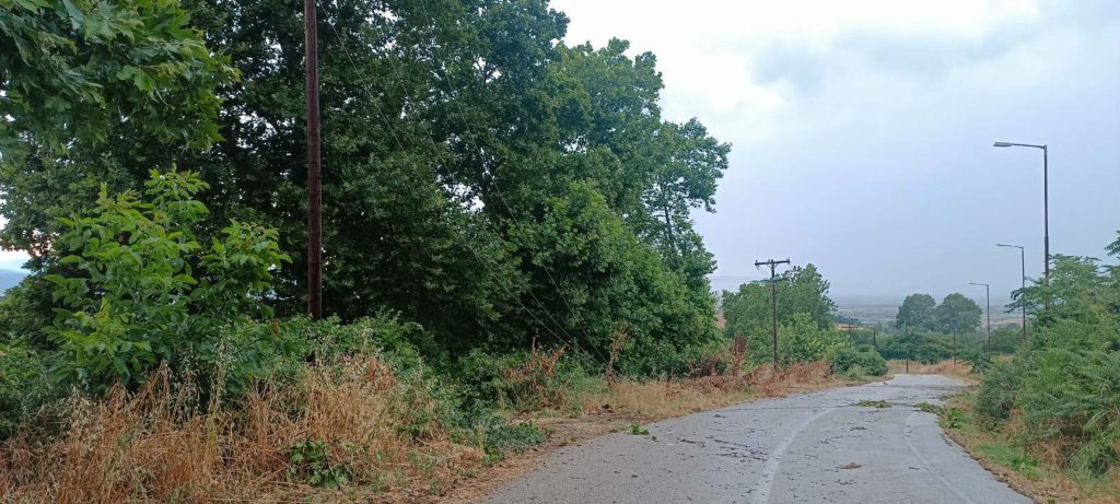 Καθαρίστε το οικόπεδό σας ή πληρώστε: Η «Ενεργή Μάχη» φέρνει αυστηρούς ελέγχους και πρόστιμα έως 2.000€