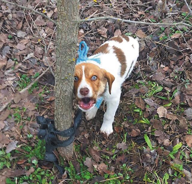Το περιστατικό στην Καρδίτσα και οι σκιές υποθέσεων που δεν απέδωσαν δικαιοσύνη, όπως του Ολιβερ στην Αράχοβα