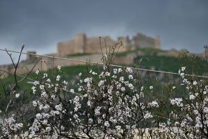 Καιρός: Βροχές και αφρικανική σκόνη, με διαστήματα ήλιου το Σαββατοκύριακο – Σε ανοιξιάτικα επίπεδα η θερμοκρασία