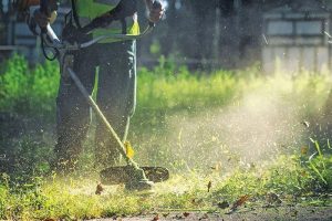 Καθαρισμός οικοπέδων: Ανατροπές σε προθεσμίες δηλώσεις και πρόστιμα