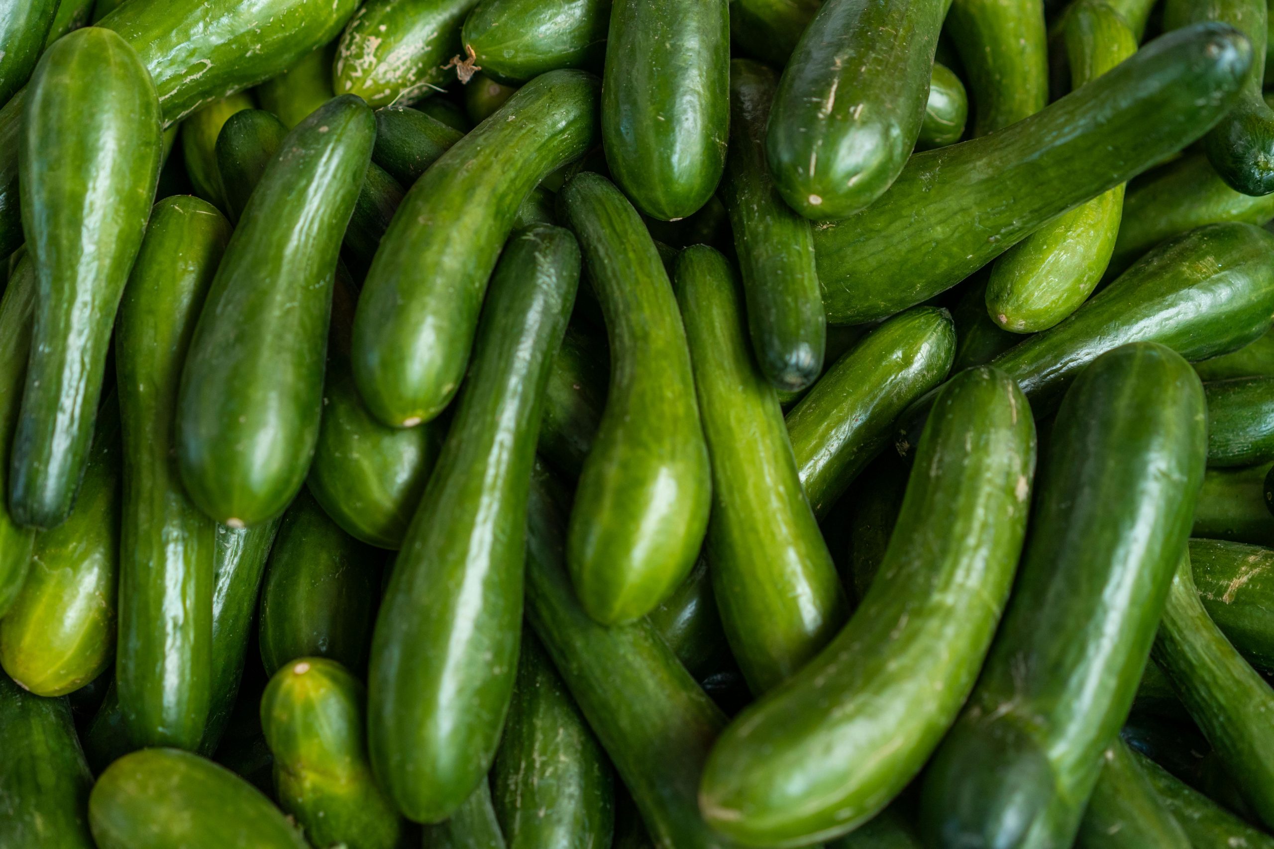 &Rho;&omega;&sigma;ί&alpha;: &Epsilon;ί&delta;&omicron;&sigmaf; &pi;&omicron;&lambda;&upsilon;&tau;&epsilon;&lambda;&epsilon;ί&alpha;&sigmaf; &tau;&alpha; &alpha;&gamma;&gamma;&omicron;ύ&rho;&iota;&alpha; &sigma;&epsilon; &kappa;&alpha;&iota;&rho;ό &pi;&omicron;&lambda;έ&mu;&omicron;&upsilon;