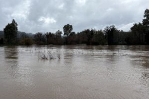 Ηλεία: Υπερχείλισε ο Αλφειός ποταμός – Εκτεταμένες ζημιές σε καλλιέργειες και αγροτικές εκτάσεις