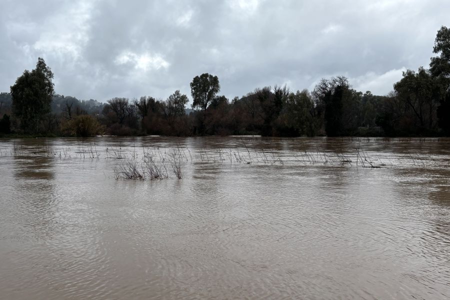 Ηλεία: Υπερχείλισε ο Αλφειός ποταμός – Εκτεταμένες ζημιές σε καλλιέργειες και αγροτικές εκτάσεις