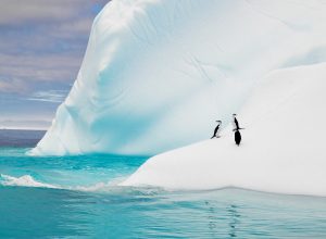 Το λιώσιμο των πάγων της Ανταρκτικής και το απρόσμενο κλιματικό παράδοξο
