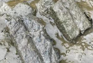 Αρχαιολογική ανατροπή: Ανακαλύφθηκε άγνωστο βιομηχανικό συγκρότημα της Ρωμαϊκής Αυτοκρατορίας