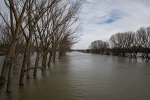 Εικόνες χάους στον Έβρο: Πλημμύρισαν πάνω από 150.000 στρέμματα – Τεράστιες ζημιές στην περιοχή