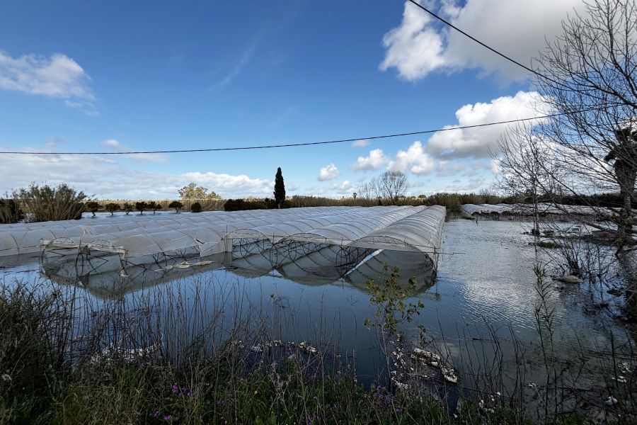 Σε οριακό σημείο ο κάμπος της Ηλείας – Εκτεταμένες ζημιές από την υπερχείλιση του Πηνειού και του Αλφειού (φωτογραφίες)