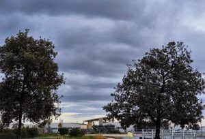 Καιρός: Βελτιώνεται ο καιρός την Τετάρτη – Πού θα επιμείνουν τα φαινόμενα – Η πρόγνωση από την Ελίνα Καρέτσου