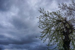 Καιρός: Άστατος τη Δευτέρα – Νέα επιδείνωση την Τρίτη με τοπικά ισχυρά φαινόμενα και ενισχυμένους ανέμους – Η πρόγνωση από την Ελίνα Καρέτσου