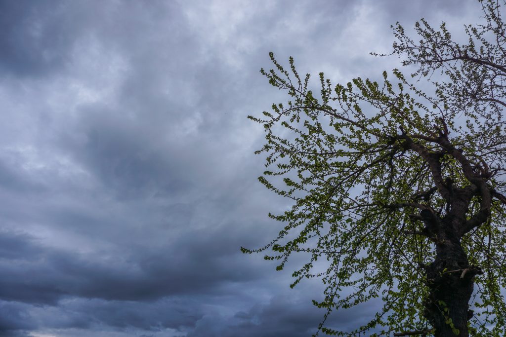 Καιρός: Άστατος τη Δευτέρα – Νέα επιδείνωση την Τρίτη με τοπικά ισχυρά φαινόμενα και ενισχυμένους ανέμους – Η πρόγνωση από την Ελίνα Καρέτσου