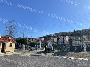 Tέμπη: Μαθητές από 9 χώρες στο σημείο θανάτου – Φρόντισαν συμβολικά τις 57 ελιές (Video)