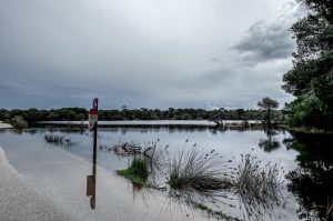 Έβρος: Πάνω από 60.000 στρέμματα πλημύρισαν  στο Σουφλί – Ρήγμα στο ανάχωμα της Κορνοφωλιάς και στη Μάνδρα