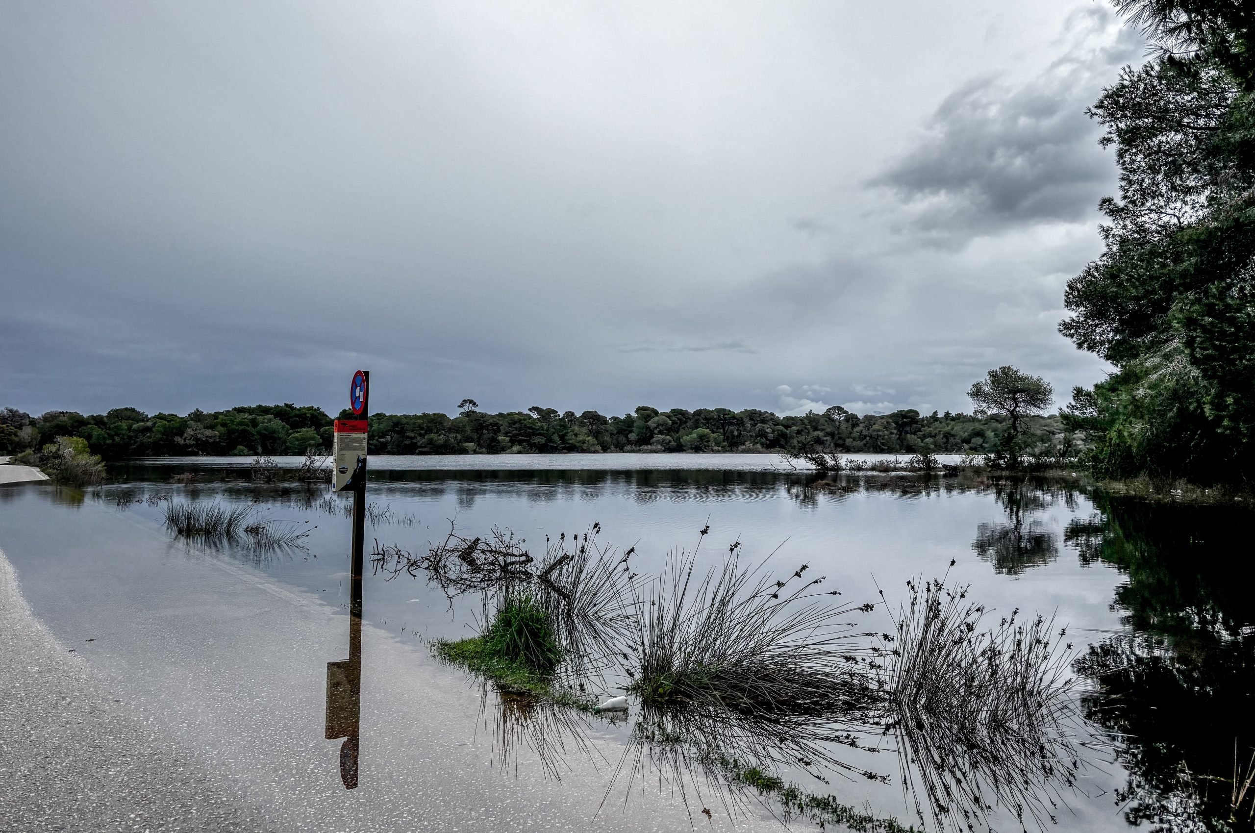 Έ&beta;&rho;&omicron;&sigmaf;: &Pi;ά&nu;&omega; &alpha;&pi;ό 60.000 &sigma;&tau;&rho;έ&mu;&mu;&alpha;&tau;&alpha; &pi;&lambda;&eta;&mu;ύ&rho;&iota;&sigma;&alpha;&nu; &sigma;&tau;&omicron; &Sigma;&omicron;&upsilon;&phi;&lambda;ί &ndash; &rho;ή&gamma;&mu;&alpha; &sigma;&tau;&omicron; &alpha;&nu;ά&chi;&omega;&mu;&alpha; &tau;&eta;&sigmaf; &Kappa;&omicron;&rho;&nu;&omicron;&phi;&omega;&lambda;&iota;ά&sigmaf; &sigma;&tau;&eta; &Mu;ά&nu;&delta;&rho;&alpha;