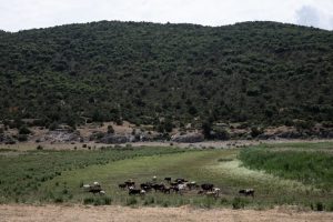 Για ένα καλύτερο άρθρο 24