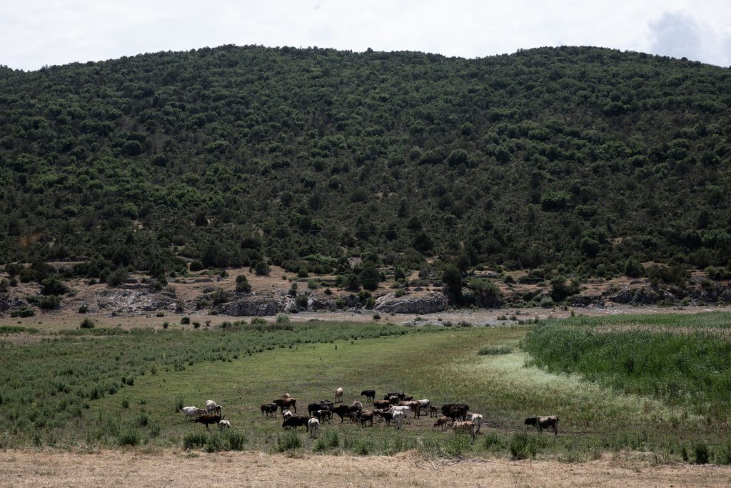 Για ένα καλύτερο άρθρο 24