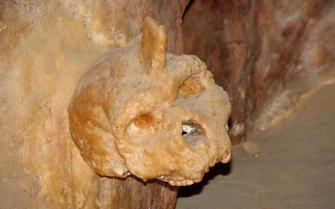 Petralona Cave: &Tau;&omicron; &mu;&upsilon;&sigma;&tau;ή&rho;&iota;&omicron; &mu;&epsilon; &tau;&omicron; &kappa;&rho;&alpha;&nu;ί&omicron; 286.000 &epsilon;&tau;ώ&nu;!