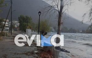 Κακοκαιρία στην Εύβοια: Πλημμύρισαν δρόμοι και πεζοδρόμια, ξεριζώθηκε δέντρο