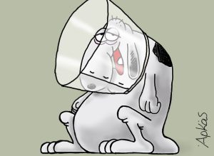 Το χιούμορ ως καθρέφτης της καθημερινότητας στο νέο σκίτσο του Αρκά