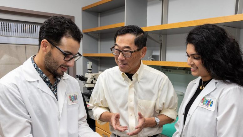 Αντιστροφή του διαβήτη τύπου 1 πέτυχαν ερευνητές του Στάνφορντ