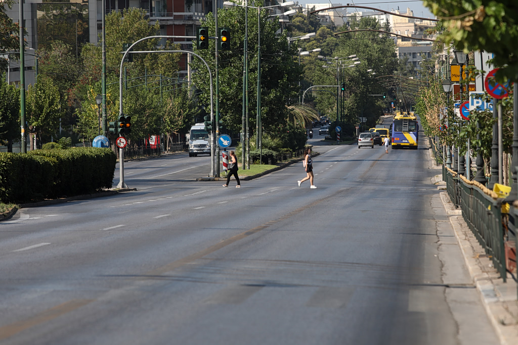 Βασιλέως Κωνσταντίνου: Σε εξέλιξη η φύτευση 90 νέων δέντρων