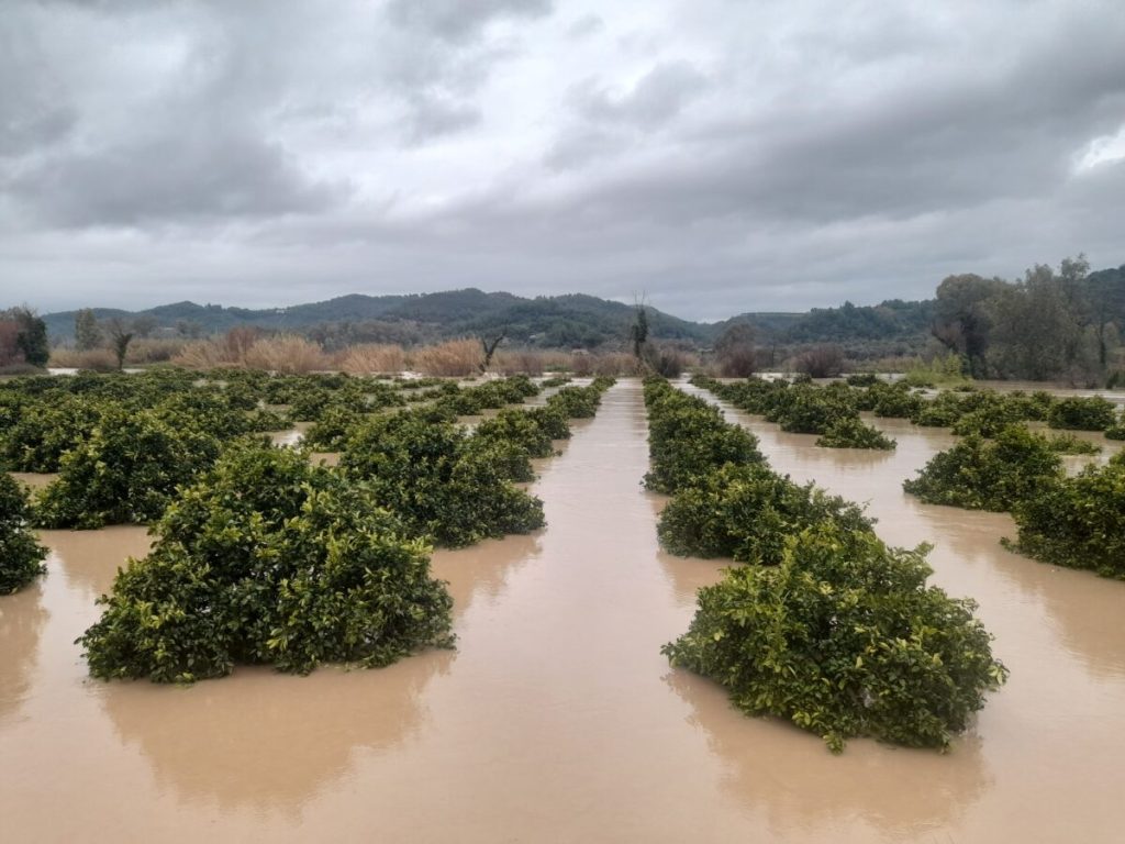 Υπερχείλισαν τα αναχώματα του Αλφειού στην Ηλεία – Πλημμύρισαν κατοικίες και καλλιέργειες