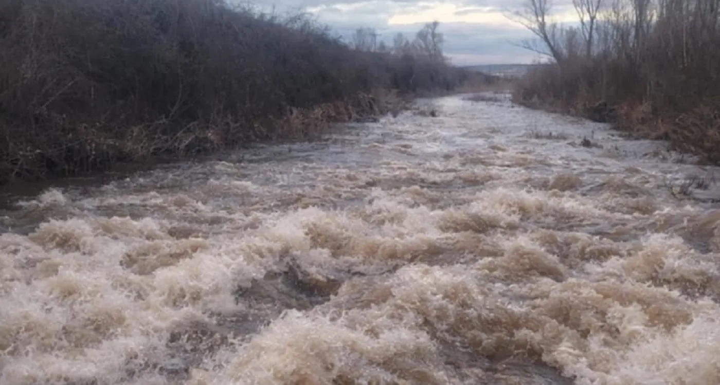 &Kappa;&omicron;&zeta;ά&nu;&eta;: K&upsilon;&nu;&eta;&gamma;&omicron;ί έ&sigma;&omega;&sigma;&alpha;&nu; &nu;&epsilon;&alpha;&rho;ό &mu;&omicron;&tau;&omicron;&sigma;&iota;&kappa;&lambda;&epsilon;&tau;&iota;&sigma;&tau;ή &pi;&omicron;&upsilon; &pi;&alpha;&rho;&alpha;&sigma;ύ&rho;&theta;&eta;&kappa;&epsilon; &sigma;&epsilon; &pi;&omicron;&tau;ά&mu;&iota;