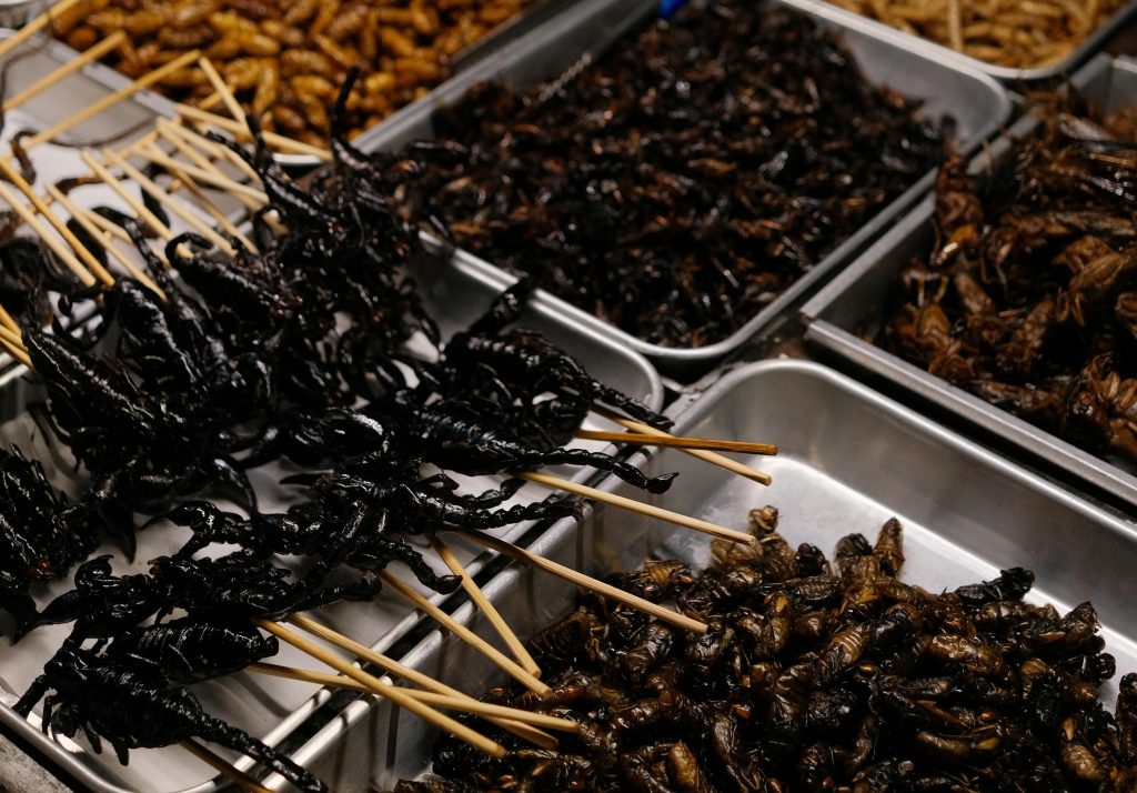 Πλεονεκτήματα και προκλήσεις της εκτροφής