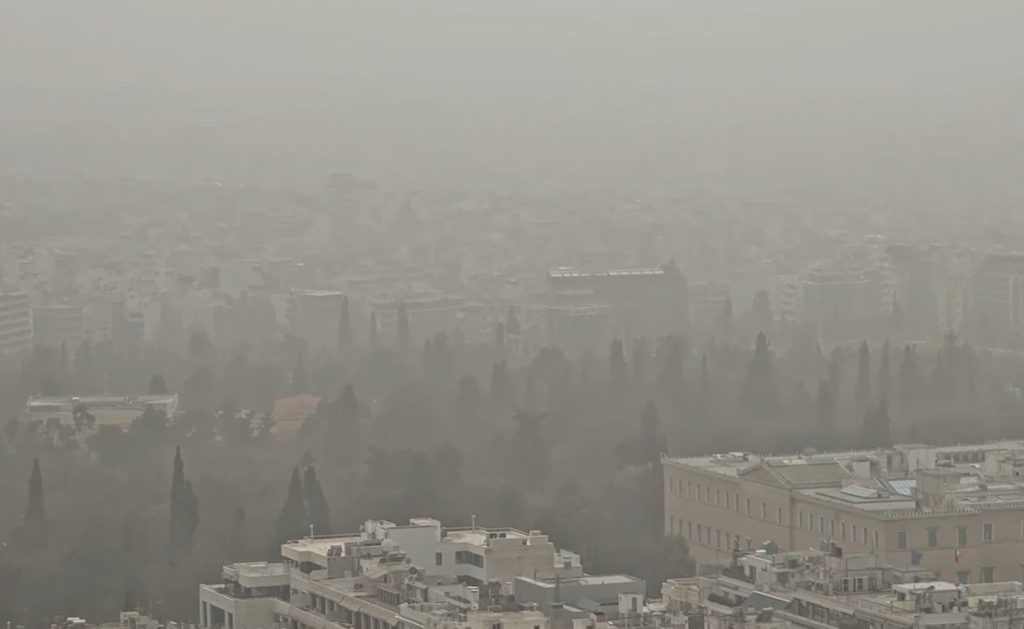 Εικόνα «τροπικού δάσους» στον Εθνικό Κήπο εξαιτίας της αφρικανικής σκόνης (video)