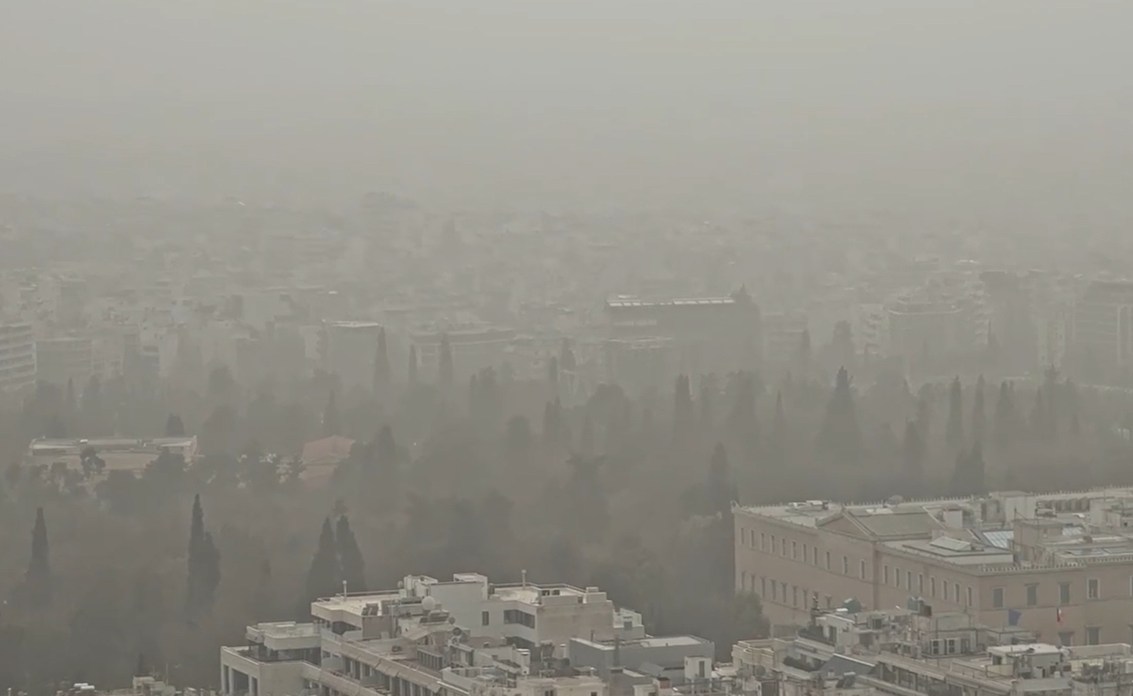 &Epsilon;&iota;&kappa;ό&nu;&alpha; &laquo;&tau;&rho;&omicron;&pi;&iota;&kappa;&omicron;ύ &delta;ά&sigma;&omicron;&upsilon;&sigmaf;&raquo; &sigma;&tau;&omicron;&nu; &Epsilon;&theta;&nu;&iota;&kappa;ό &Kappa;ή&pi;&omicron; &epsilon;&xi;&alpha;&iota;&tau;ί&alpha;&sigmaf; &tau;&eta;&sigmaf; &alpha;&phi;&rho;&iota;&kappa;&alpha;&nu;&iota;&kappa;ή&sigmaf; &sigma;&kappa;ό&nu;&eta;&sigmaf; (video)