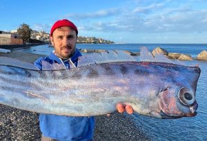 Ένα ψάρι από «τη ζώνη του λυκόφωτος» ξεβράστηκε στις ακτές της Σικελίας – «Μοιάζει να βγήκε από ένα μυθικό παραμύθι»