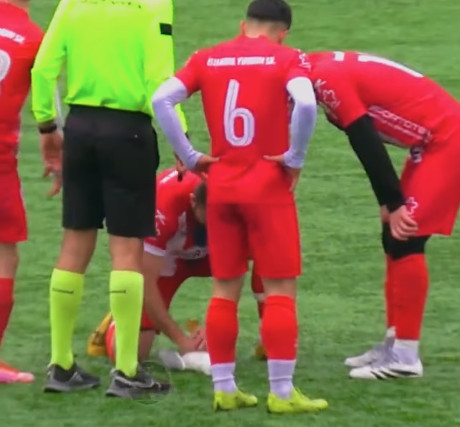 Γλάρος πέφτει ξερός από χτύπημα μπάλας ποδοσφαίρου και τον επαναφέρουν στη ζωή με ΚΑΡΠΑ: Απίστευτο βίντεο