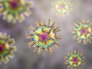 Ο έρπης «δούρειος ίππος» για τη θεραπεία του καρκίνου του εγκεφάλου