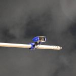 Μπαίνουν κάμερες σε λεωφορεία και έξι δρόμους της Αθήνας – Δείτε σε ποιους