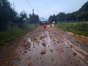 Ξάνθη: Aπορριμματοφόρο βούλιαξε…  στην άσφαλτο – Κατολισθήσεις και πλημμύρες σε Μεσσηνία και Τζουμέρκα