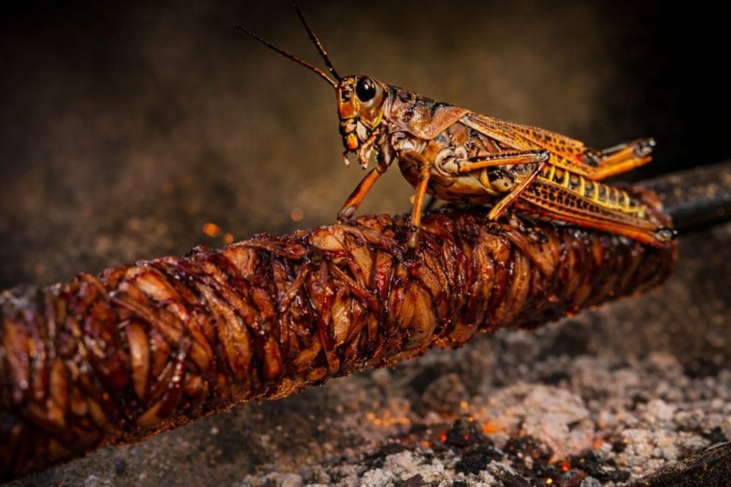 Θα τρώμε κοκορέτσι ή ακρίδες; Το εκβιαστικό δίλημμα της Ευρώπης