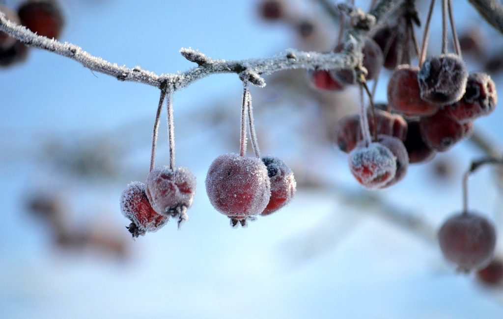 Αλλάζει η «μηχανή» του παγκόσμιου καιρού: Τέλος η La Niña, έρχεται El Niño – Τι σημαίνει για τον πλανήτη