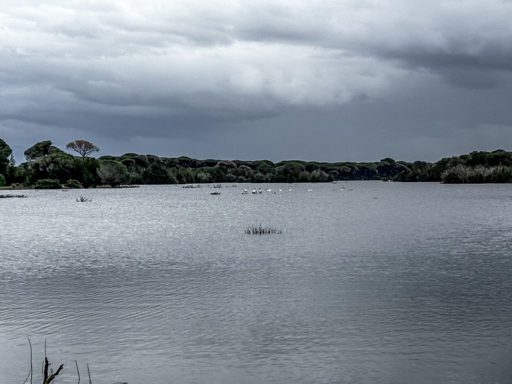 Σε “Red Code” η Περιφερειακή Ενότητα Έβρου λόγω υψηλού κινδύνου εκδήλωσης πλημμυρικών φαινομένων
