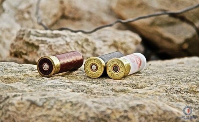 44.000 τόνοι μολύβδινων σκαγιών και βαριδιών αλιείας απελευθερώνονται στο περιβάλλον