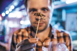 Τα έντομα μπαίνουν (και) στο ελληνικό μενού