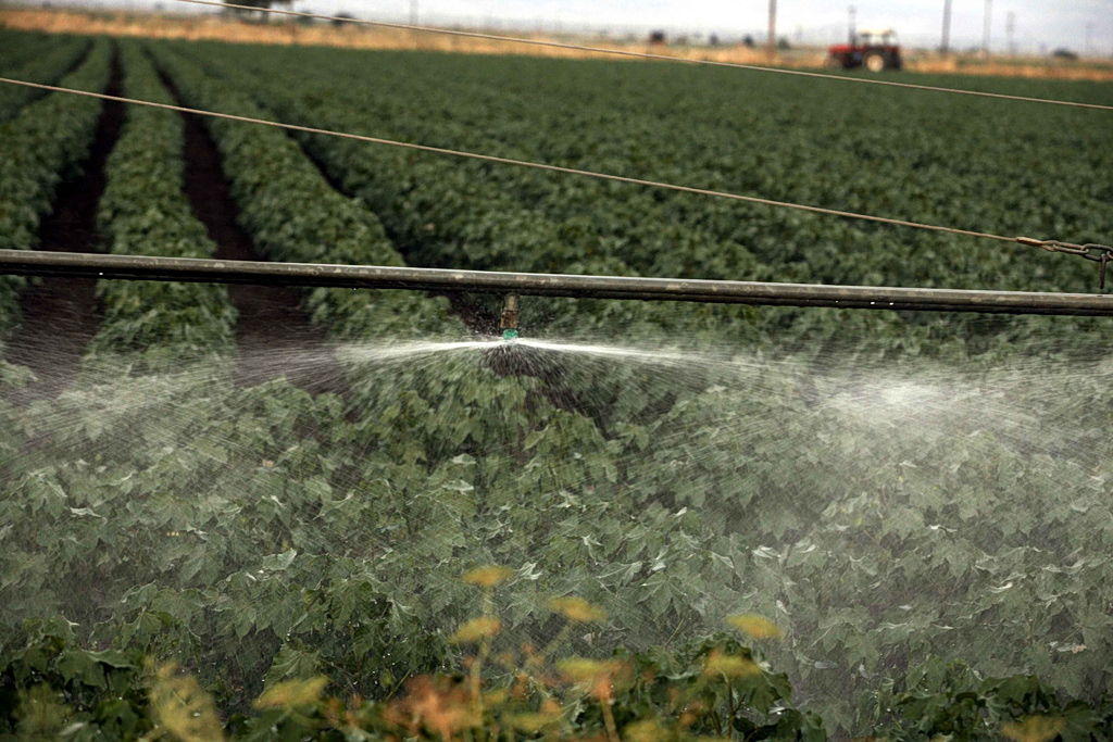 Λιπάσματα: Δίμηνη επιδότηση στους αγρότες – Τι προβλέπει