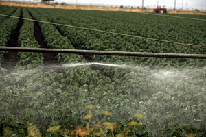 Λιπάσματα: Δίμηνη επιδότηση στους αγρότες – Τι προβλέπει