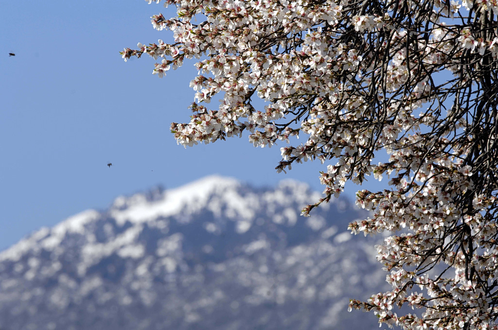 Μερομήνια 2026: Έρχεται Μάρτης «γδάρτης» – Πότε θα δούμε τα πρώτα χιόνια