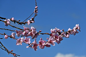 Καιρός: Τοπικές βροχές σε Κρήτη και Κυκλάδες – Αίθριος στην υπόλοιπη χώρα