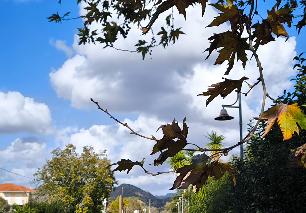 Καιρός: Ήπιες θερμοκρασίες και τοπικές βροχές την Παρασκευή – Η πρόγνωση για το Σαββατοκύριακο