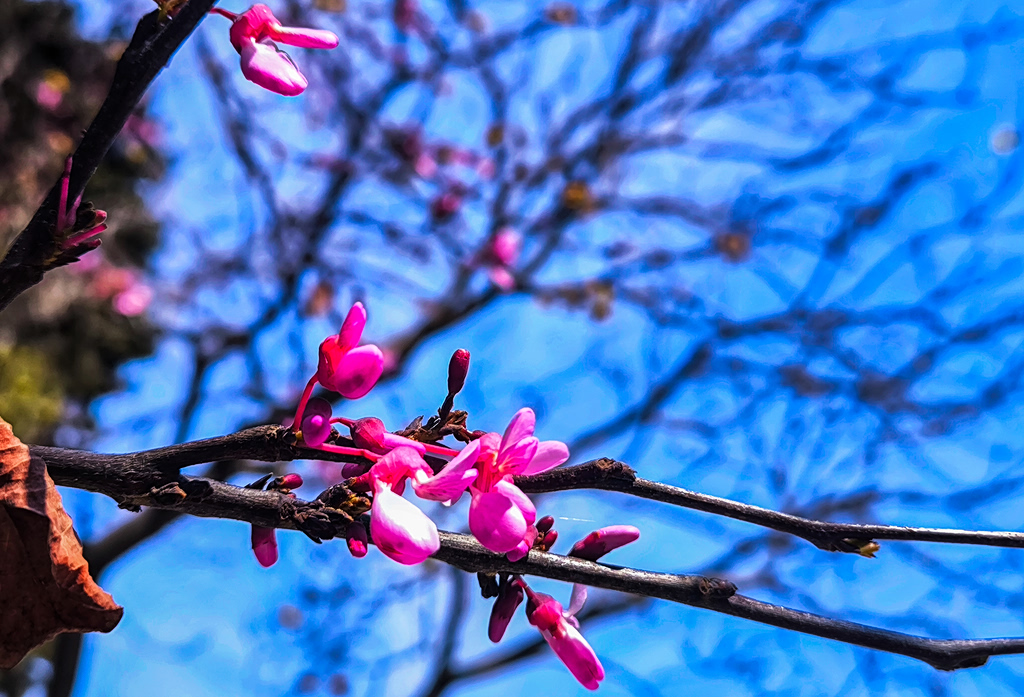 Καιρός: Ανοιξιάτικες συνθήκες και τις επόμενες ημέρες – Πότε αλλάζει το σκηνικό