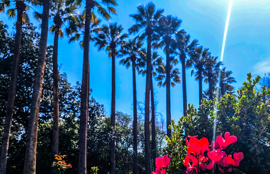 Καιρός: Σταθερά ανοιξιάτικος μέχρι το Σαββατοκύριακο – Πότε θα δούμε αλλαγή