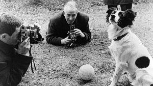 Ο σκύλος που έσωσε το γόητρο της Αγγλίας