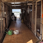 Αμπελόκηποι: Η ανακοίνωση της ΕΛ.ΑΣ. για την φάρμα των ζώων σε πολυκατοικία – Σχηματίστηκε δικογραφία, βρέθηκαν από κατσίκες μέχρι πάπιες