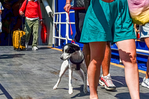 Τουρισμός για Όλους 2026: Πότε ανοίγει η πλατφόρμα για το voucher μέχρι 600 ευρώ