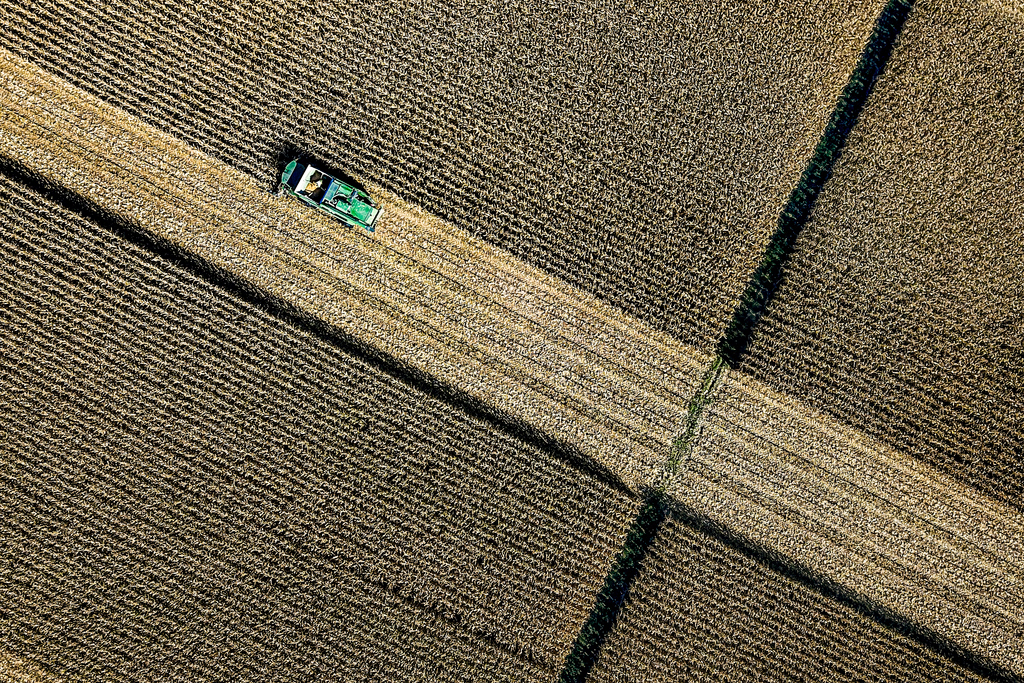 ΑΑΔΕ: Αυτές είναι οι ημερομηνίες για τις πληρωμές σε αγρότες και κτηνοτρόφους έως το τέλος Ιουνίου